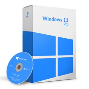 Windows 11 Pro OEM DVD